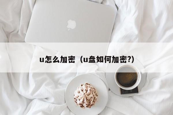 u怎么加密（u盘如何加密?）